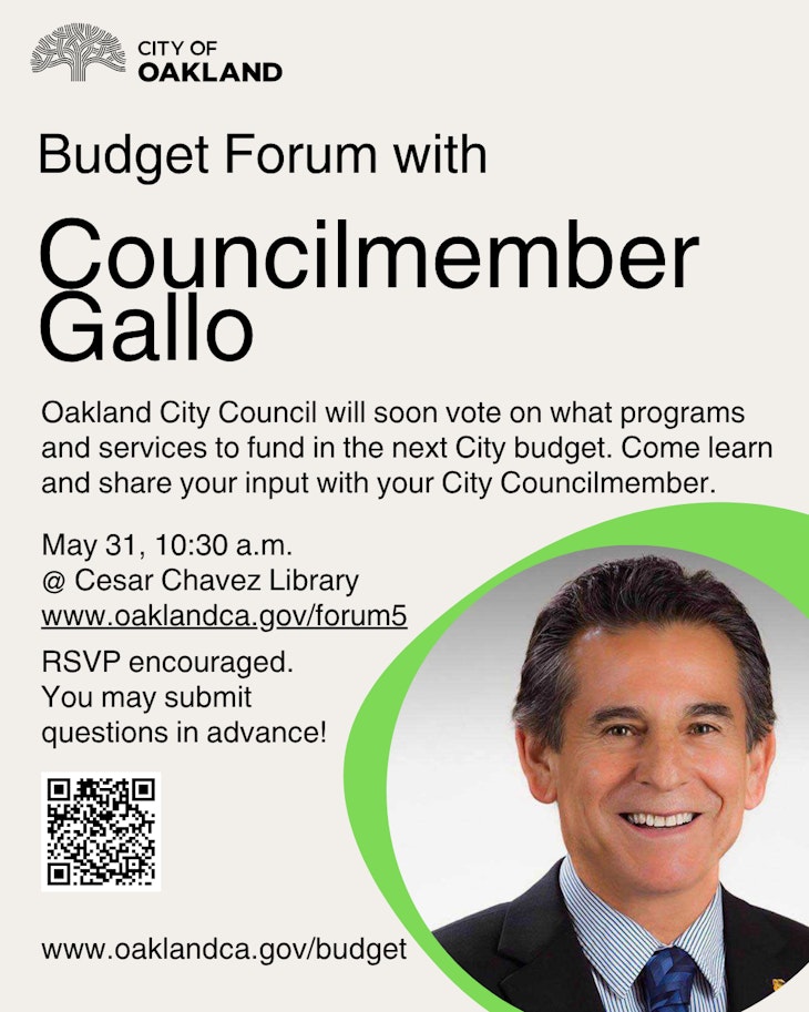 Council Budget Flyer