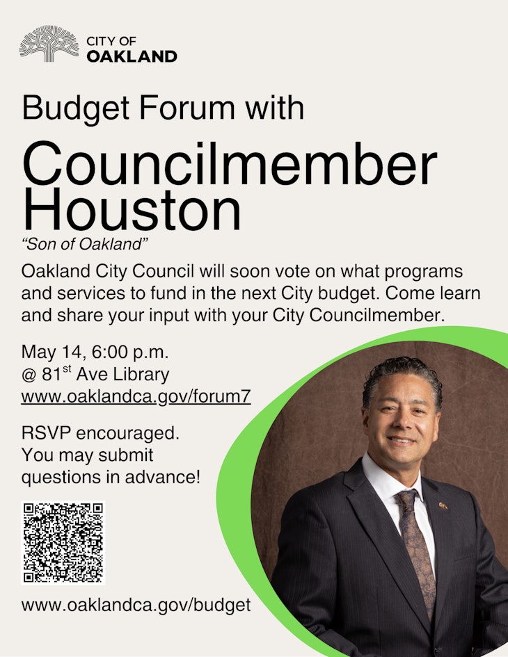 Council Budget Flyer