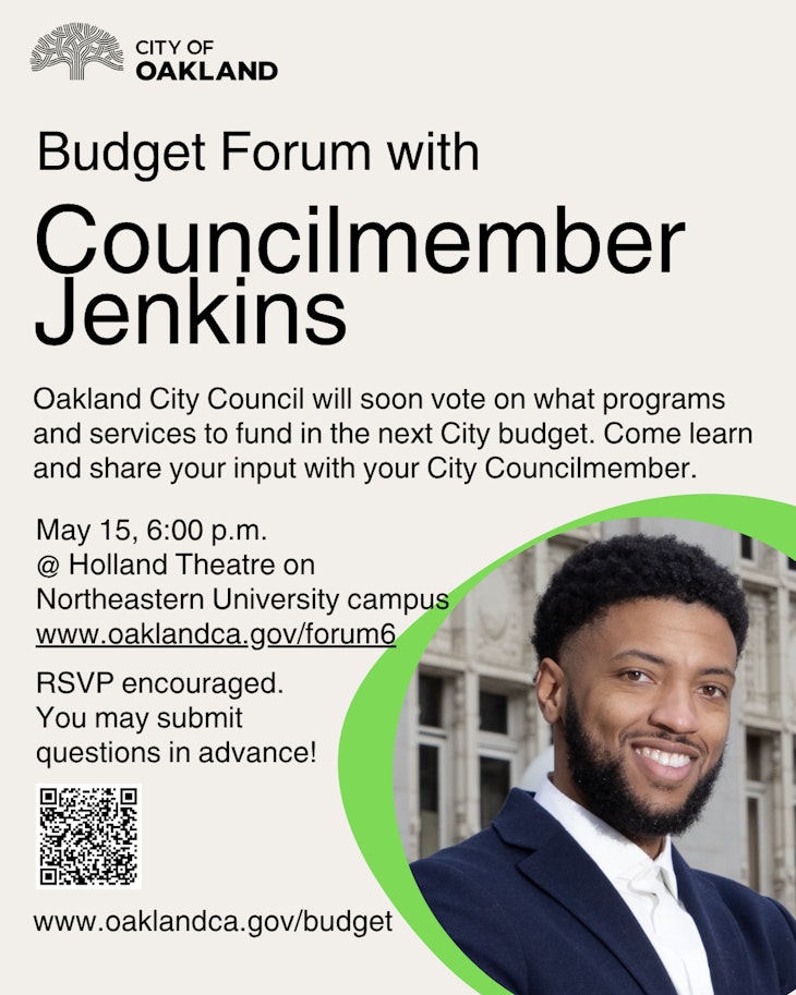 Council Budget Flyer