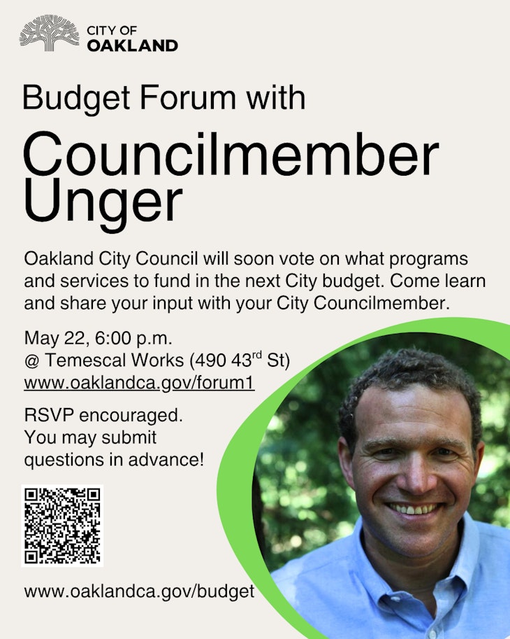 D1 Council Forum Flyer