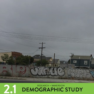 TASK 2.1 - DEMOGRAPHICS