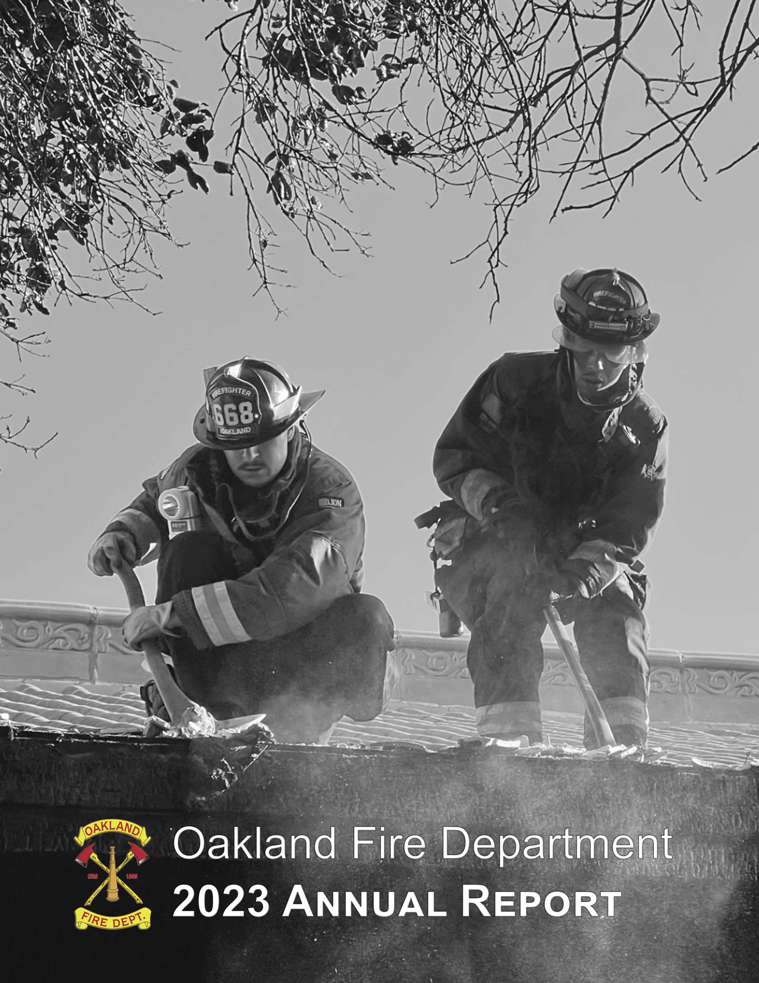 cover photo of the annual report