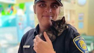 Animal Control Officer with kitten
