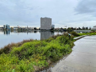 View of Lake Merrit, showing greenery, pedestrian path, and some tall buildings